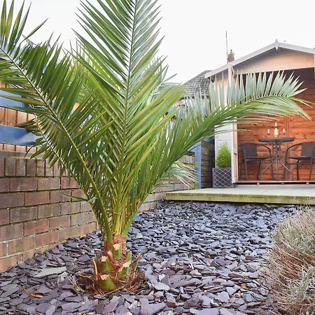 What A View! * Whitby